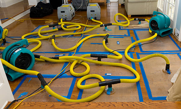 Professional Water Extraction technician working in Willis, TX